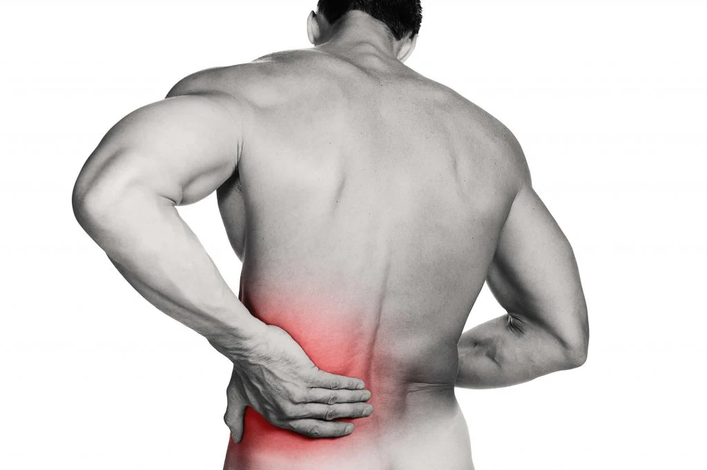Spinal Health 101: Understanding the Anatomy Behind Neck and Back Pain
